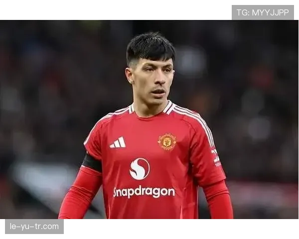 利桑德罗闪耀世界杯赛场，助力阿根廷再夺冠军开启足球新纪元