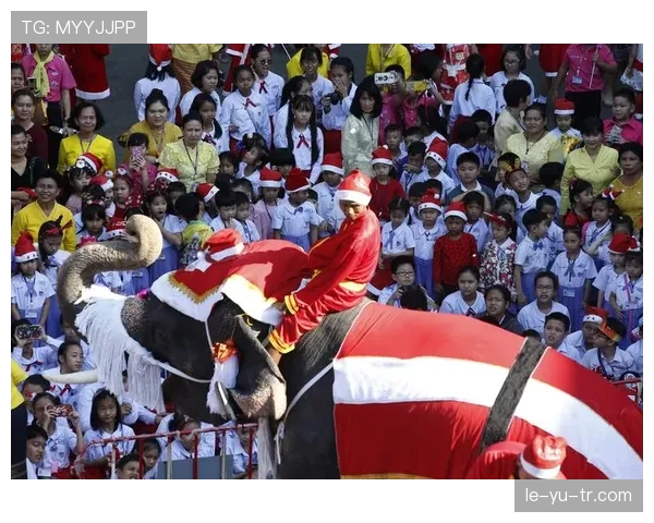 泰国队焕新大象标志，全新形象助力新赛季再创佳绩